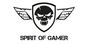 SPIRIT OF GAMER